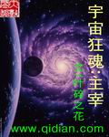 宇宙狂魂主宰